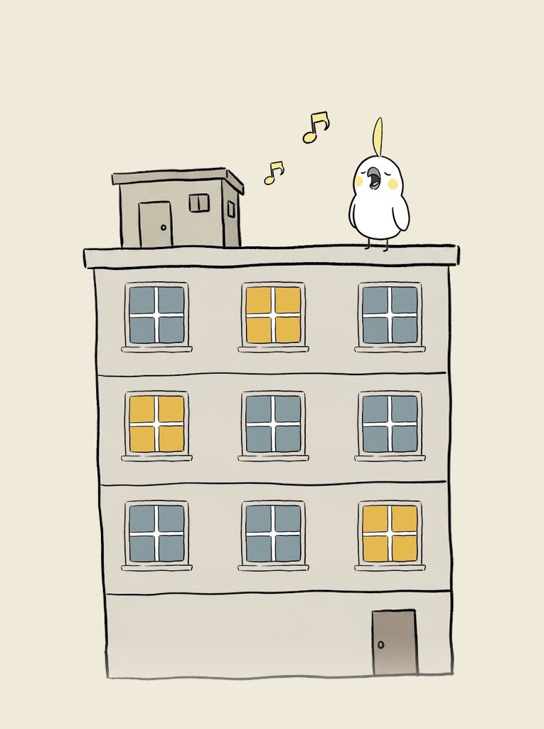 A parrot singing on the roof of a small apartment building at night