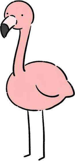 Pachelbelle the flamingo